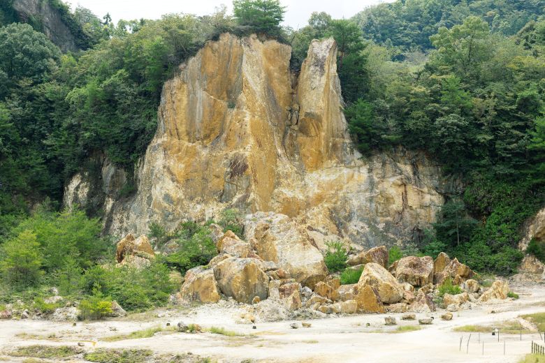 有田焼 伝統文様 1